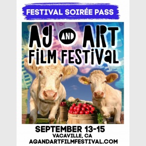 جشنواره های موضوعی